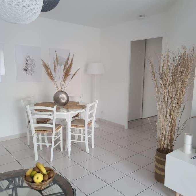 Appartement 63 M2, Tout Confort, Climatise. サン・シプリアン エクステリア 写真